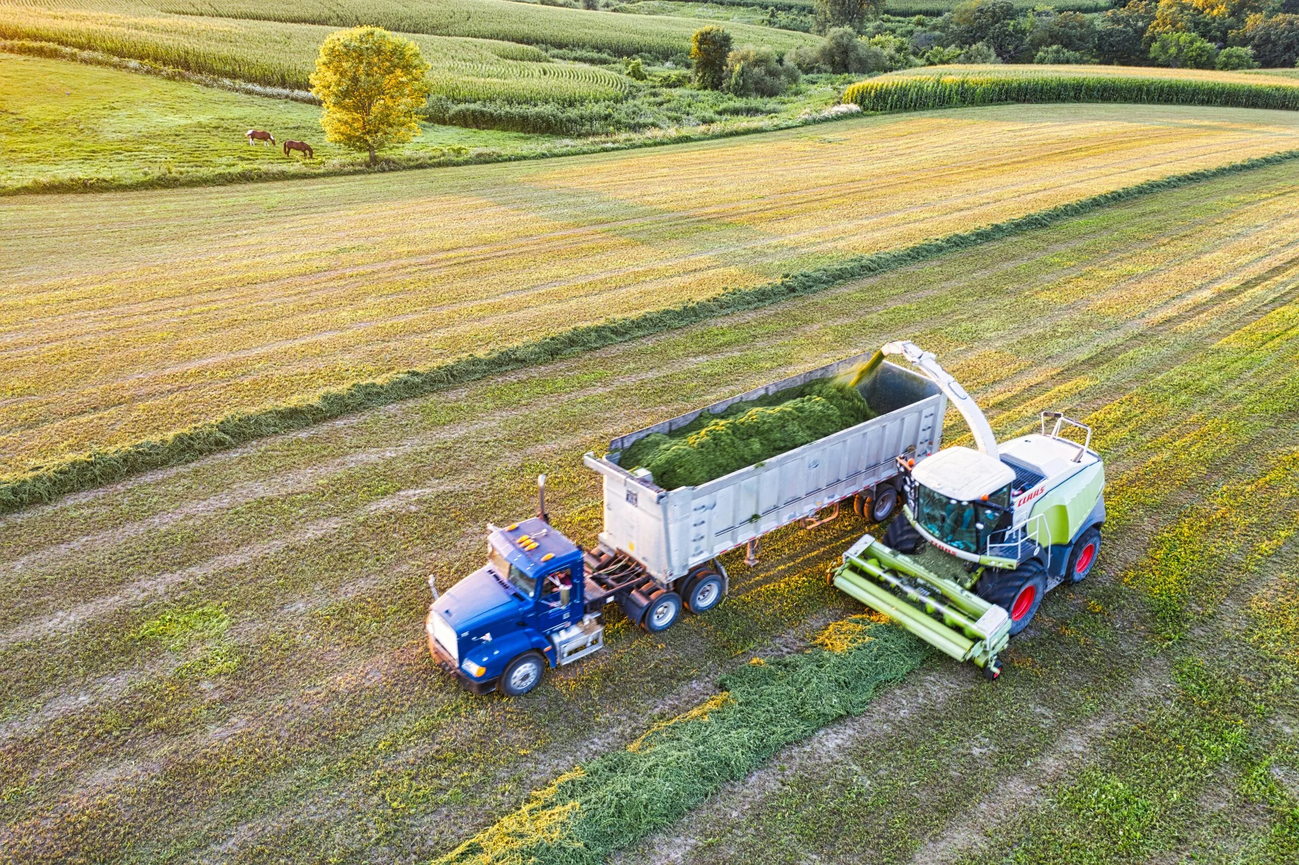 Agricultural Transport